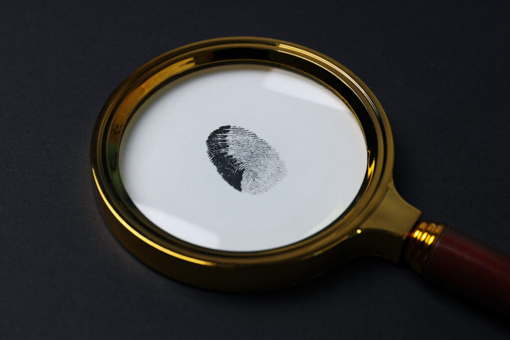 Private investigators Service